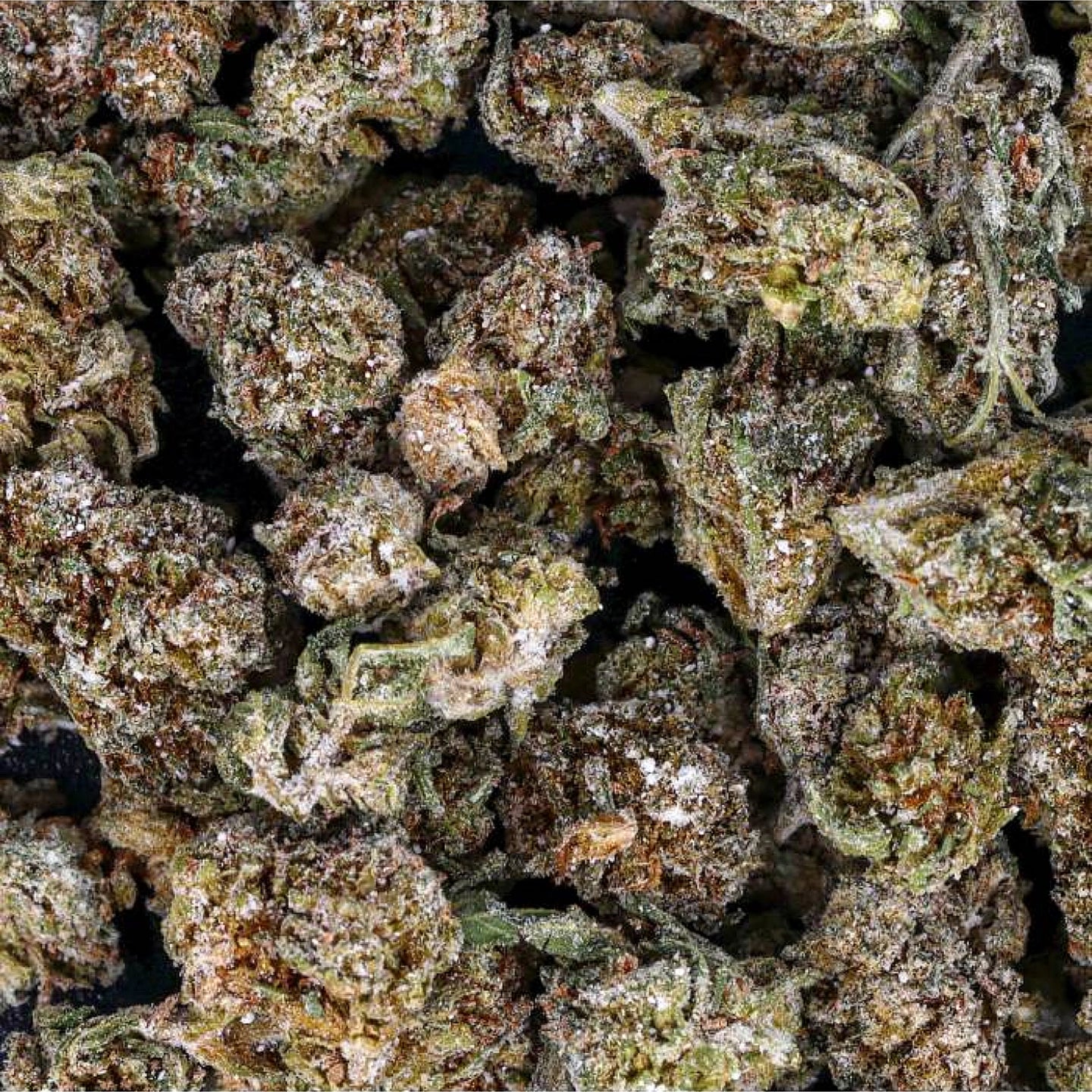FLEURS CBD SMALL BUD CRYSTAL AMNESIA