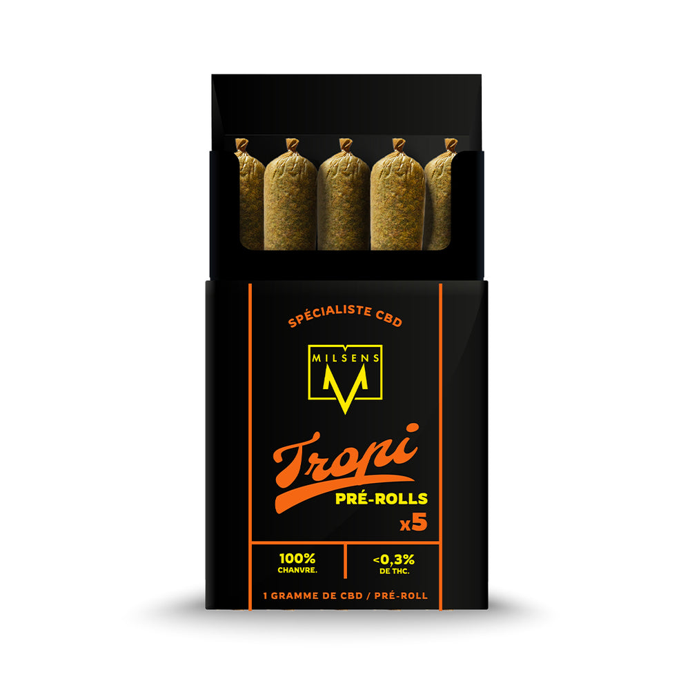 PAQUET PRĂ-ROLLS TROPI