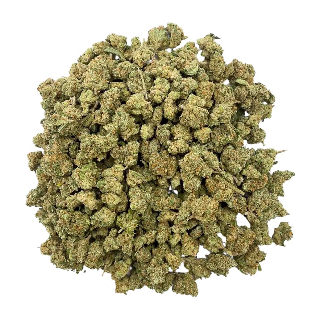 FLEURS CBD MOBY DICK HYDROPONIQUE.