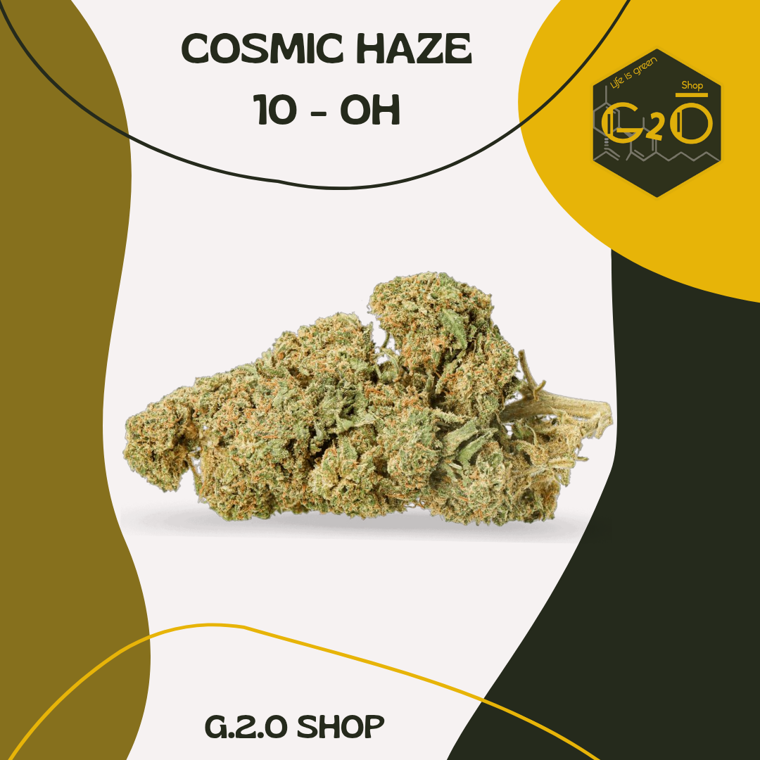 FLEURS TRIPPY TREATS - COSMIC HAZE
Intensité 10-OH-HHC :