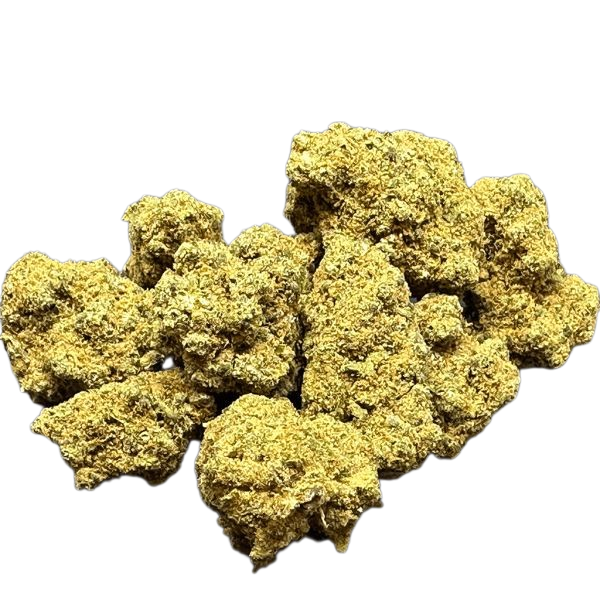 FLEURS CBD MOBY DICK HYDROPONIQUE.