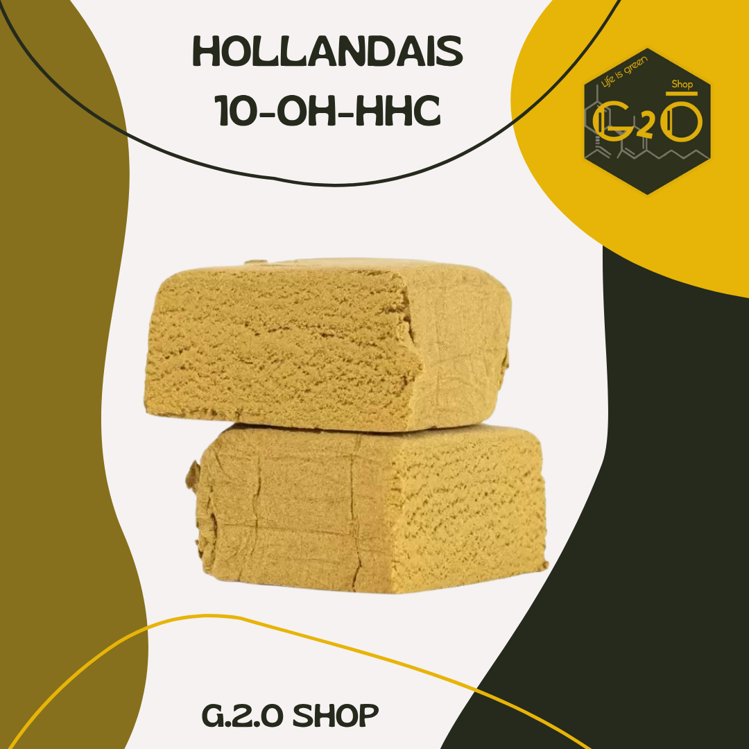 RÉSINE HOLLANDAIS 10-OH-HHC