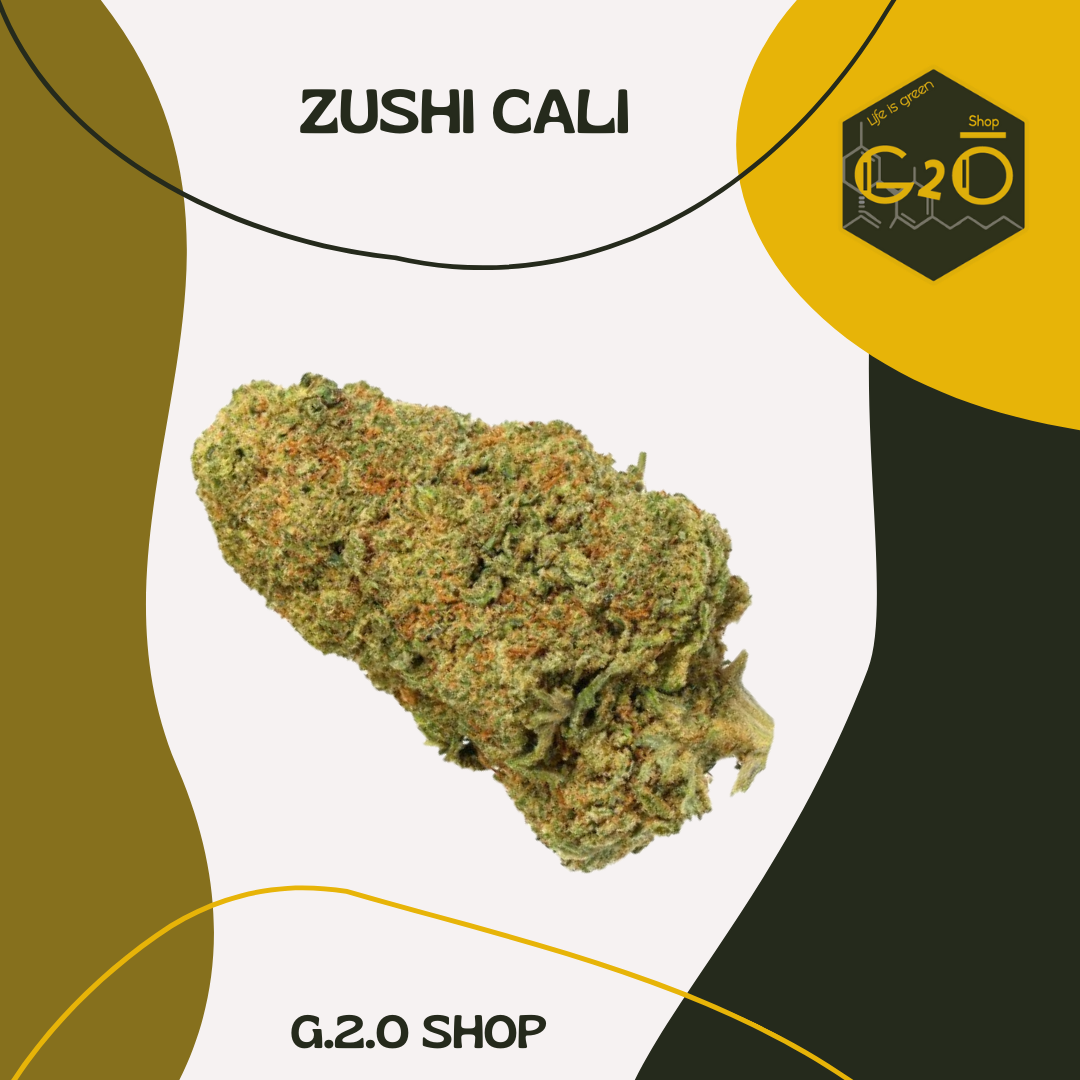 FLEURS CBD - ZUSHI - HYDROPONIE