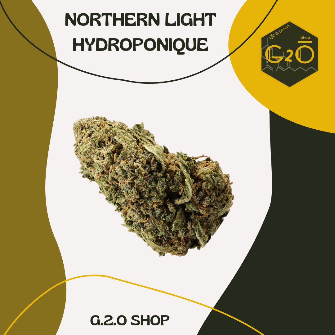 FLEURS CBD NORTHERN LIGHT HYDROPONIQUE