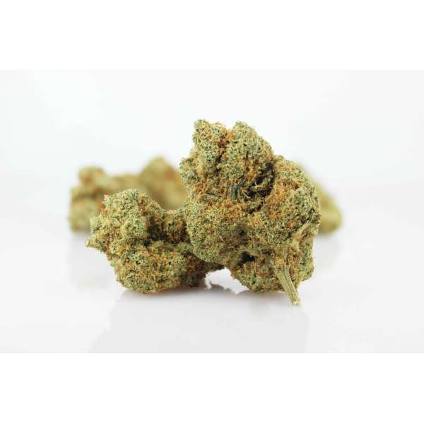 FLEURS CBD - ZUSHI - HYDROPONIE