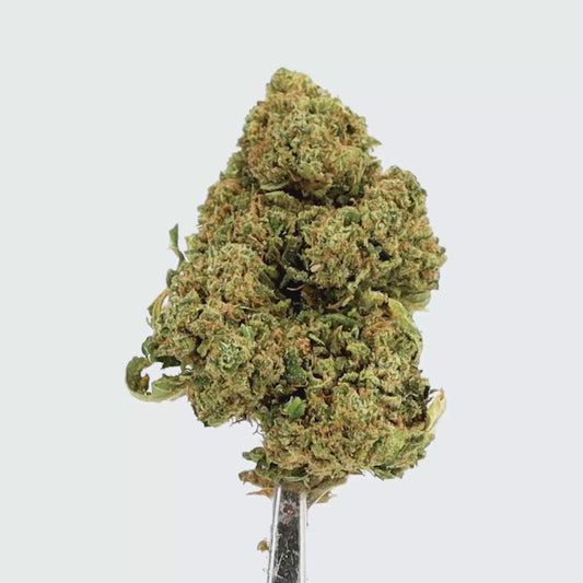 Tutti frutti