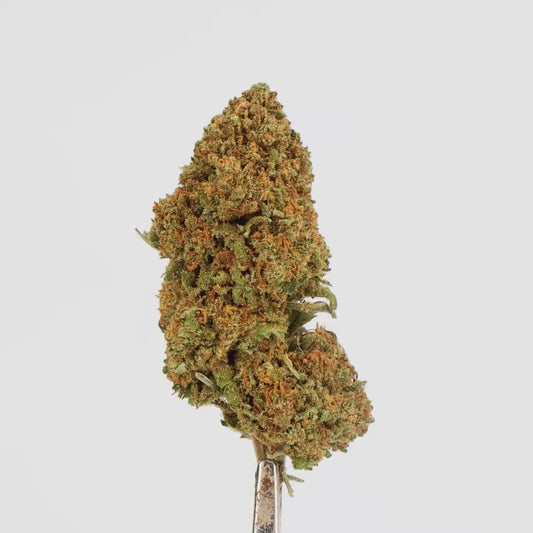 FORBIDDEN FRUIT