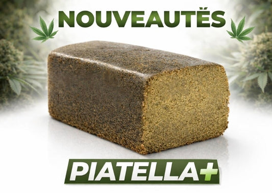 RÉSINE LE PIATELLA+