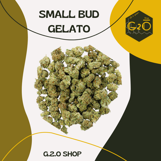 FLEURS CBD SMALL BUD LA GELATO CALI.