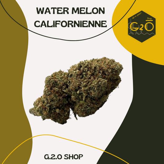 WATER MELON