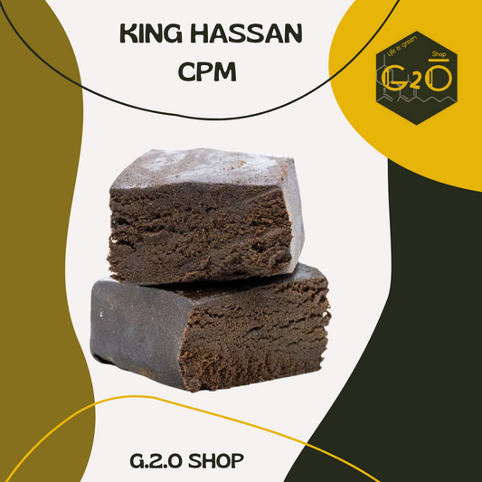 RÉSINE KING HASSAN CPM