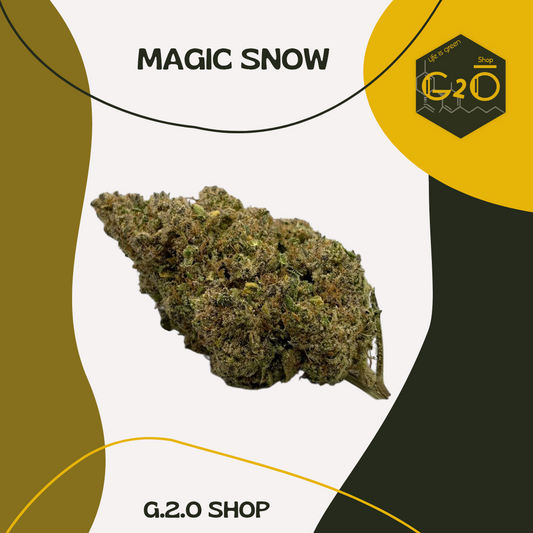 MAGIC SNOW