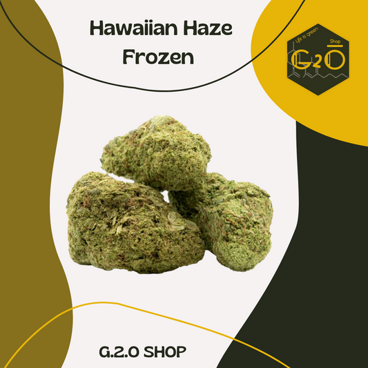Hawaiian Haze Frozen