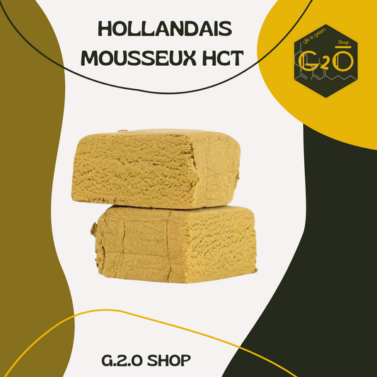 HOLLANDAIS MOUSSEUX HCT
