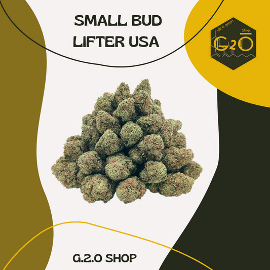 FLEUR SMALL BUD LIFTER USA