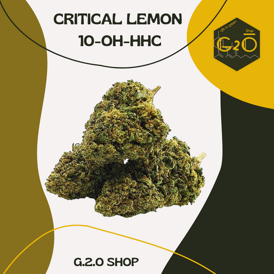 CRITICAL LEMON 10-OH-HHC
