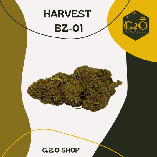 FLEURS CBD HARVEST BZ-01
