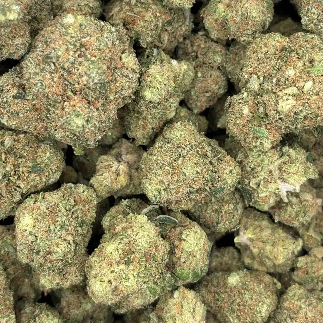 FLEURS CBD SMALL BUD LA GELATO CALI.