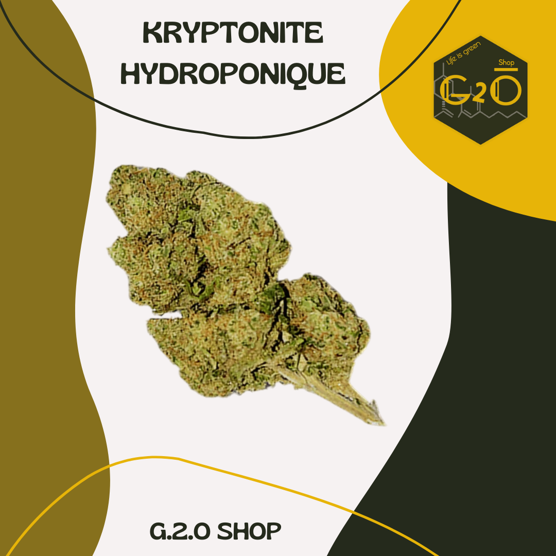 LA KRYPTONITE FLEUR CBD HYDROPONIQUE