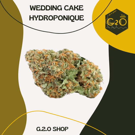 FLEURS CBD WEDDING CAKE HYDROPONIQUE